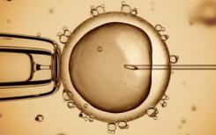 新方法产生用于人胚胎干细胞检测的最高信号