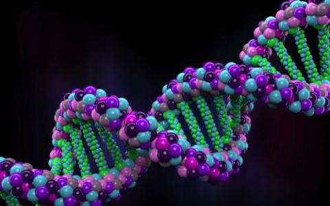 研究阐明了人类基因组中遗传变异的热点是如何演变的