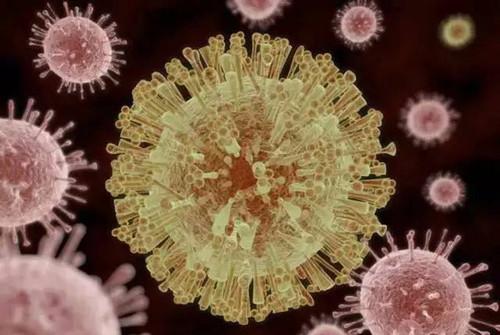 新技术揭示了寨卡病毒如何在细胞内相互作用