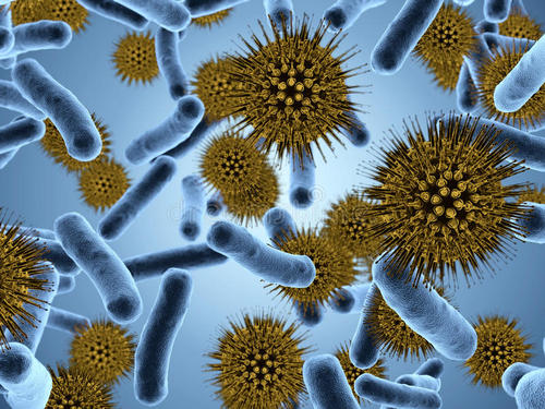 细菌的波动生长速度有助于它产生对抗生素的抗性