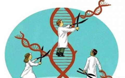 致力于制造和超越癌症专家组为细胞和基因治疗公司提供咨询
