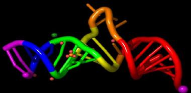 RNA seqFISH +在组织中的转录组规模超分辨成像