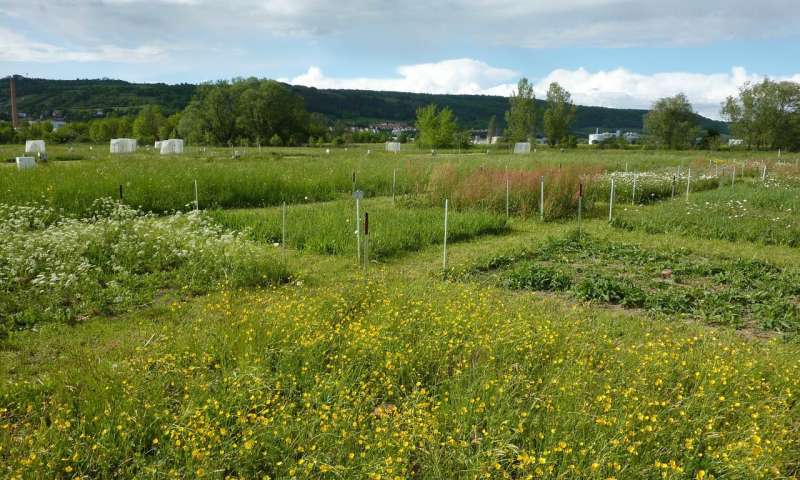 生物多样性的多个方面减少了草地生物量生产的变化