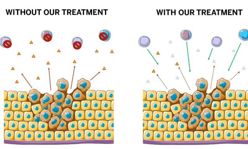 新的癌症治疗使用酶来增强免疫系统和反击