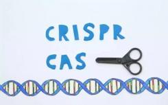 基于CRISPR的Dx使用纳米电子学来绕过PCR步骤