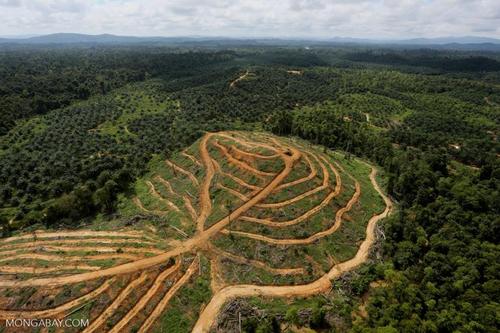 土地利用相互作用塑造了热带山区生物多样性和生态系