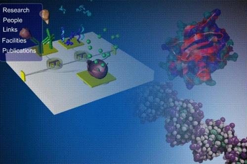 科学突破可以带来更安全的生物电子学