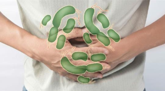 自噬可以帮助对抗沙门氏菌和其他病原体