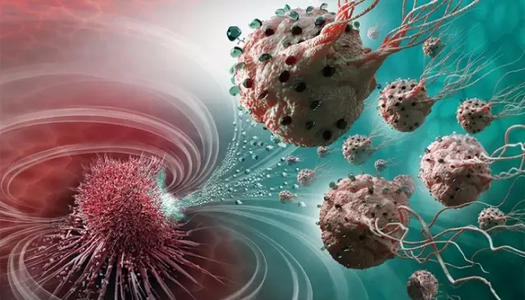 杀死癌症的T细胞受到钾的抑制保持干症