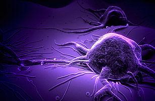 杀死癌症的T细胞受到钾的抑制保持干症