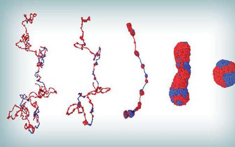 科学家们在我们的细胞中绘制了一个复杂的芭蕾舞剧