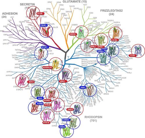 科学家们开发出新的精确计算方法来提高药物靶标稳定性