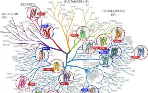 科学家们开发出新的精确计算方法来提高药物靶标稳定性