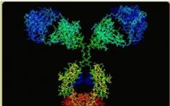 新细胞系产生NIST单克隆抗体用于改进生物药物