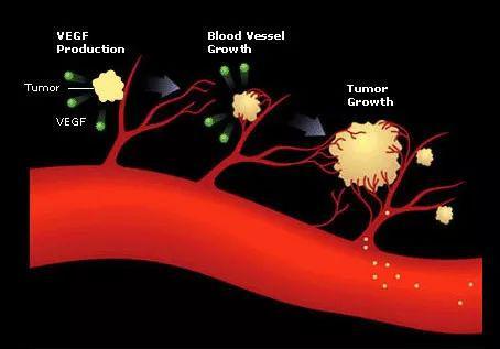 一种刺激血管生成的简单方法
