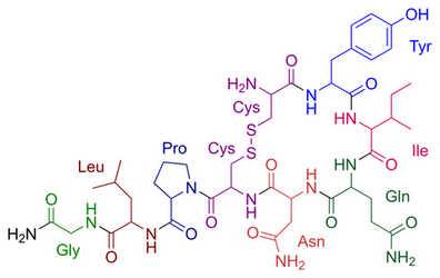 使用MDMA重新开启催产素学习关键时期的催产素