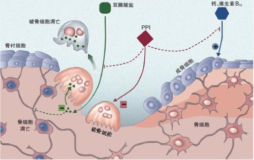 促进植物泵抗旱的细菌