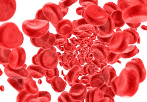 研究人员发现特定突变如何阻碍健康的血细胞成熟