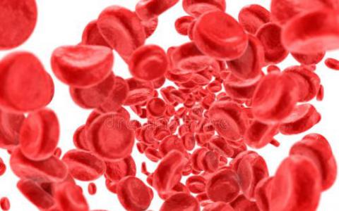 研究人员发现特定突变如何阻碍健康的血细胞成熟