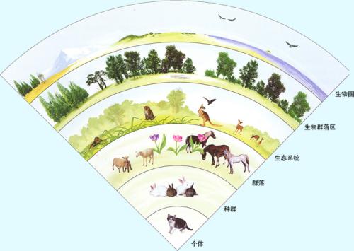 在制定未来生态系统方面至关重要的长期变化