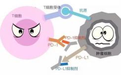 结核病可在癌症免疫治疗后出现