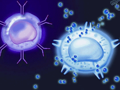科学家首次将免疫细胞与血癌联系起来
