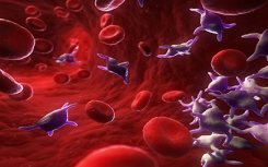 湍流允许临床规模的血小板生成用于输血