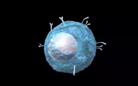可视化T细胞实时对抗癌症