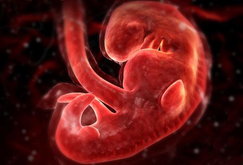 研究评估大麻对胎儿发育的影响