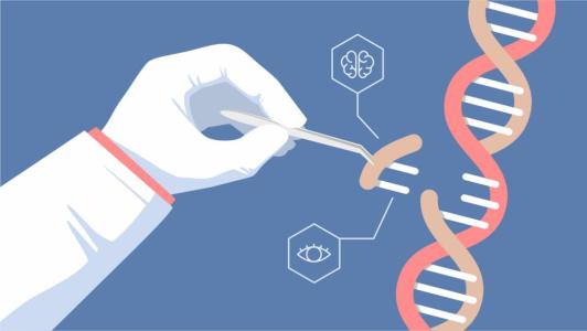 新的CRISPR工具被描述为带有马达的DNA粉碎机