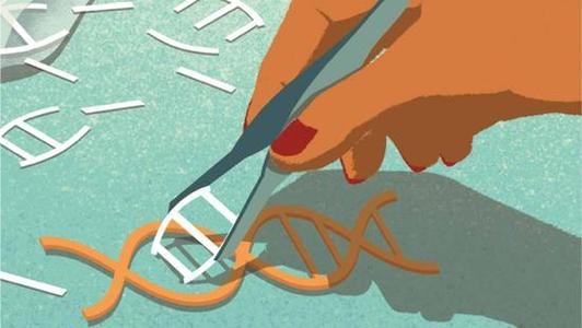 生物化学家通过炒作CRISPR系统发现基因组编辑失败的原因