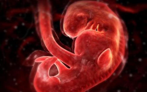 研究评估大麻对胎儿发育的影响