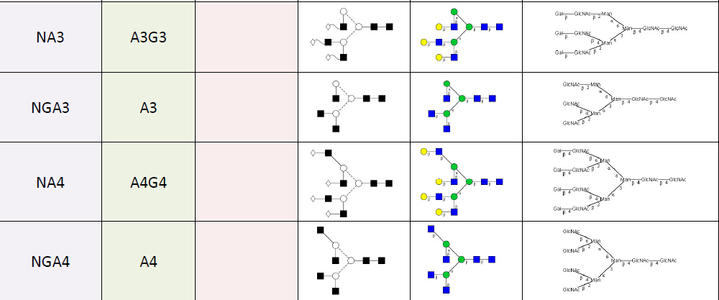 将HIV-1包膜糖蛋白结构与smFRET观察到的病毒状态联系起来