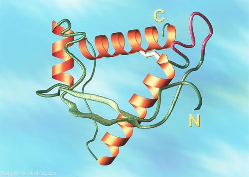 新的分析揭示了允许某些蛋白质感染其他蛋白质的生物物理特性