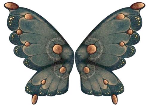 科学家使用CRISPR来调整蝴蝶翅膀颜色改变翼鳞表面结构