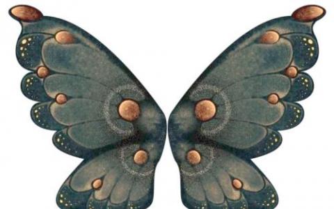 科学家使用CRISPR来调整蝴蝶翅膀颜色改变翼鳞表面结构
