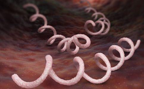 研究人员报告成功培养出梅毒梅毒螺旋体