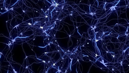 “思维”神经元自发地预测社会伙伴的决定