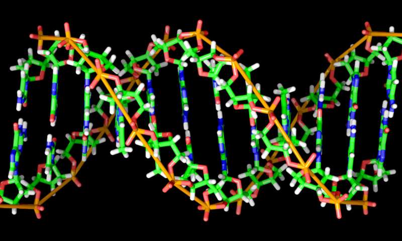 DNA条形码可靠地工作改变生物医学研究的游戏规则