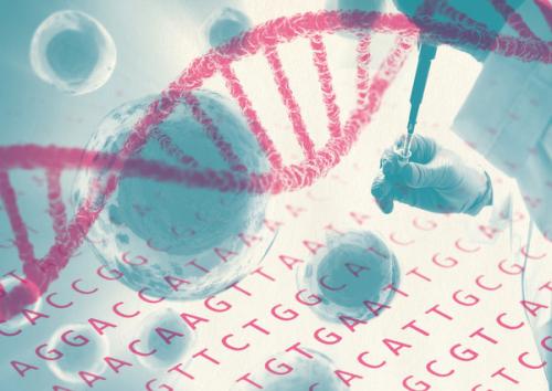 研究人员开发了一种比较单细胞基因表达的更好方法