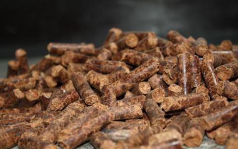 利用油籽生产的生物燃料革新了喷气燃料行业