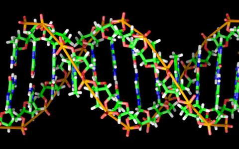 DNA条形码可靠地工作改变生物医学研究的游戏规则