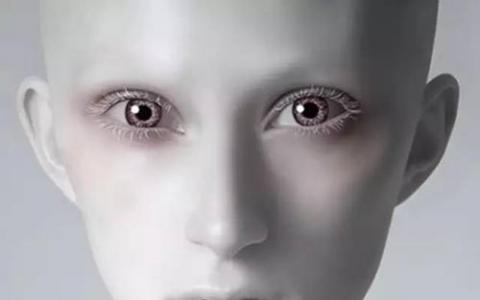 人类面孔因社会技能的进化需求而形成