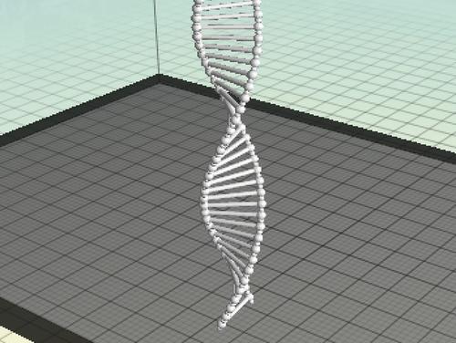 DNA螺旋的形状证明与其序列一样重要