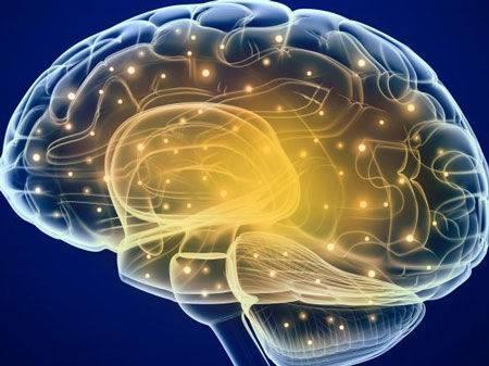 新显微技术测量深部脑区活动