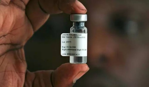 有希望的疟疾疫苗将在第一次大型田间试验中进行测试