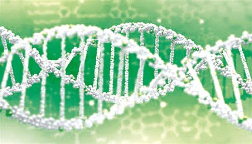 解码RNA-蛋白质相互作用