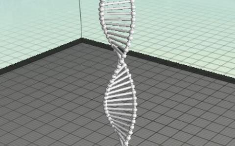 DNA螺旋的形状证明与其序列一样重要