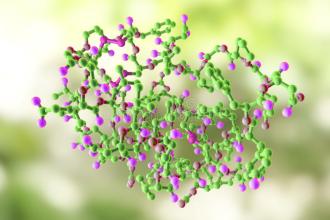 疾病的蛋白质组学分析