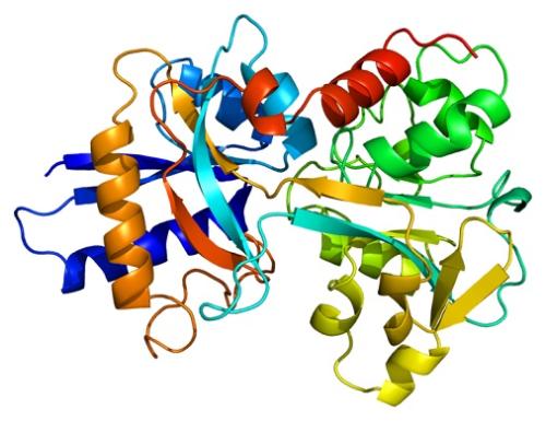 深度学习模型从氨基酸序列预测蛋白质结构